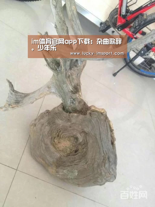 im体育官网app下载：杂曲歌辞。少年乐