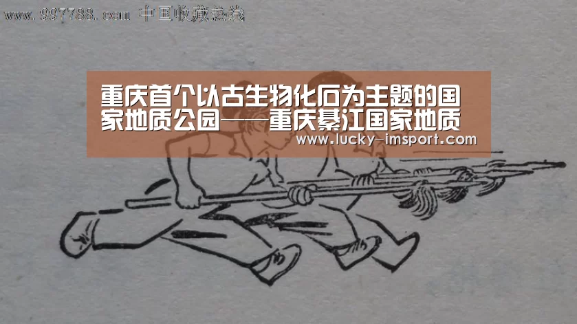 重庆首个以古生物化石为主题的国家地质公园——重庆綦江国家地质公园:im体育官网app下载(图3) im体育下载