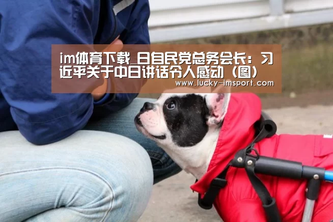 im体育下载_日自民党总务会长:习近平关于中日讲话令人感动(图)