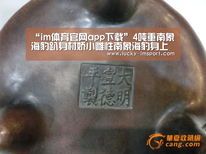 im体育下载