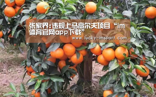 张家界:违规上马高尔夫项目“im体育官网app下载”(图2) im体育下载